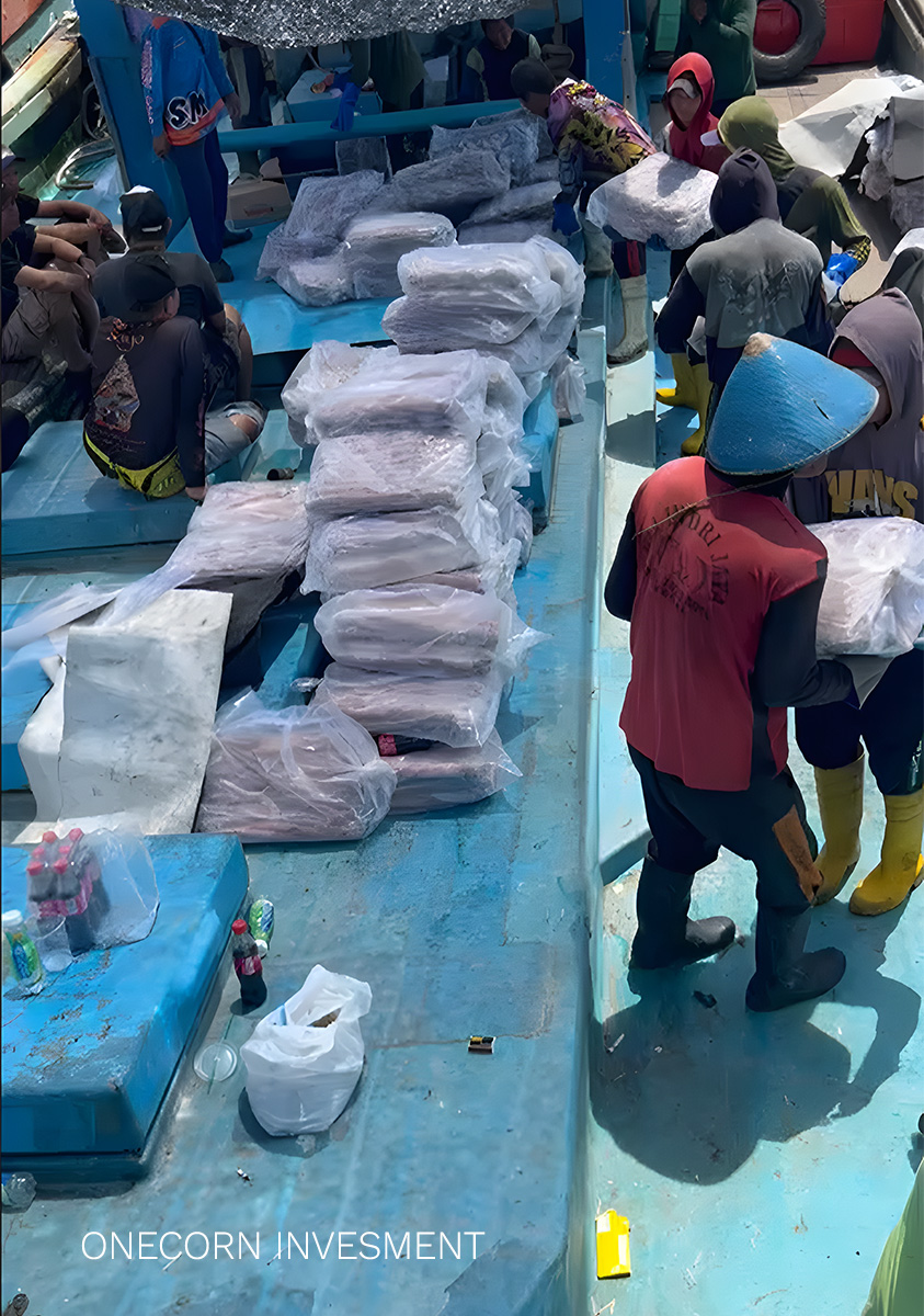 Loading frozen seafood on vessel