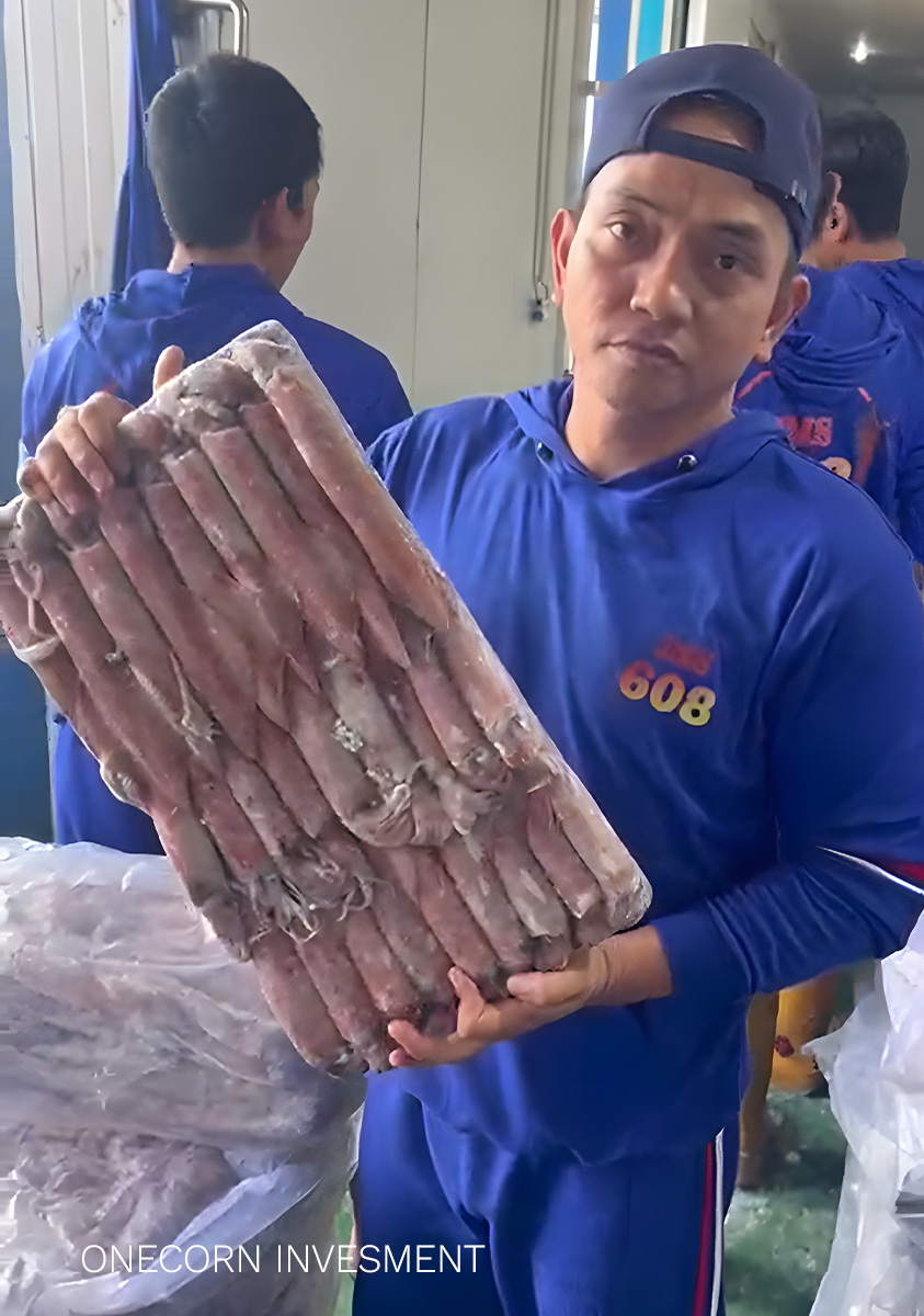Frozen squid product block